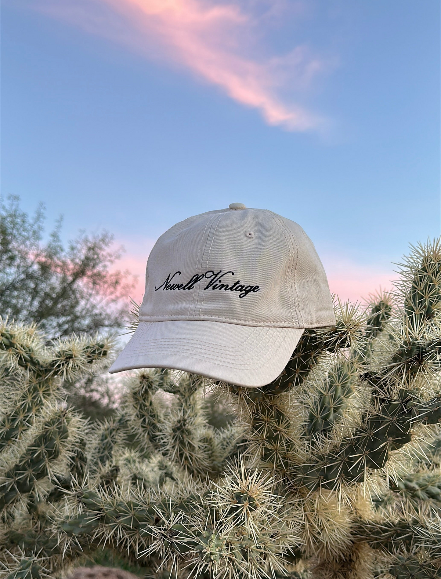 Newell Vintage Cotton Baseball Hat