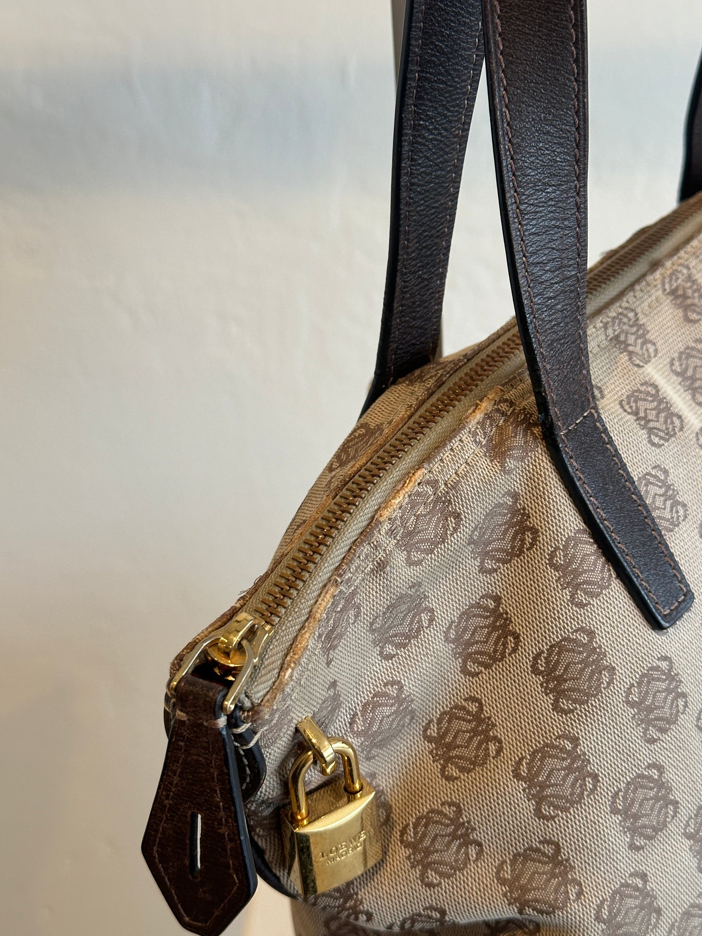 Loewe Anagram Canvas Zip Tote Bag