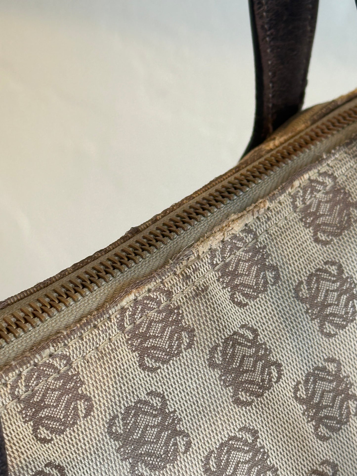 Loewe Anagram Canvas Zip Tote Bag