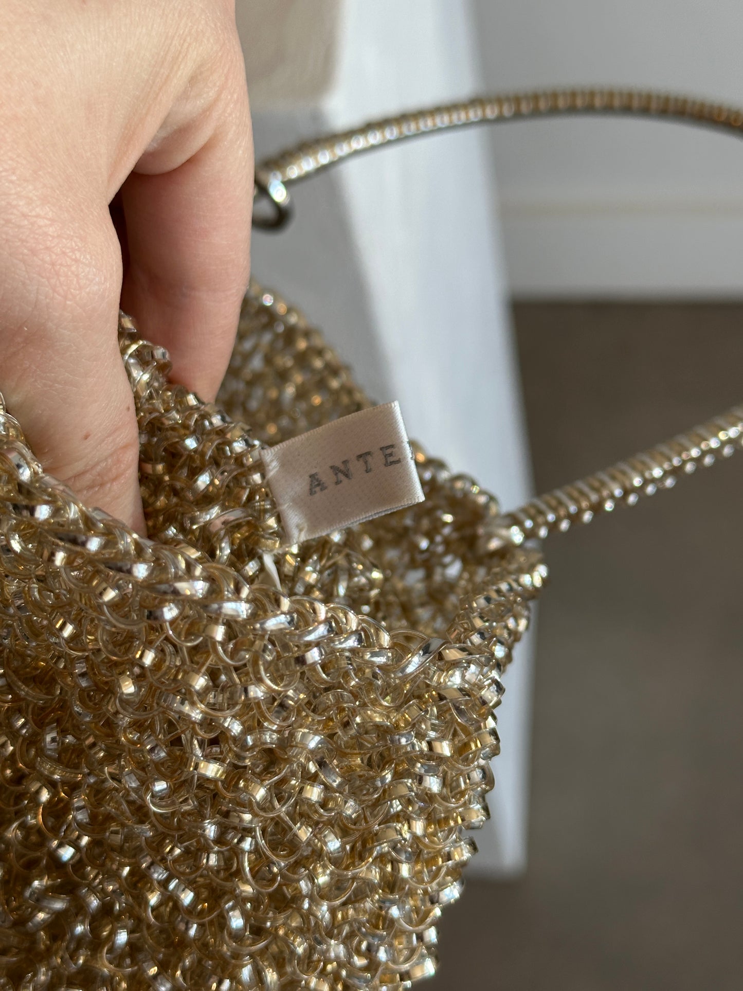 Anteprima Wire Bag